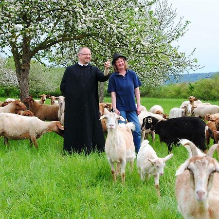 Kloster Plankstetten Gaste- Und Tagungshaus Berching Exteriör bild