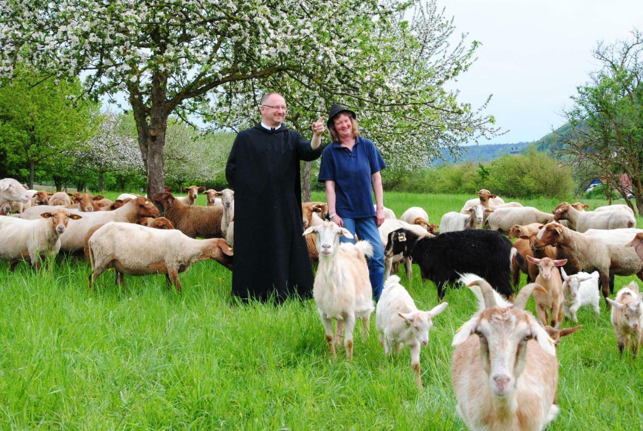 Kloster Plankstetten Gaste- Und Tagungshaus Berching Exteriör bild